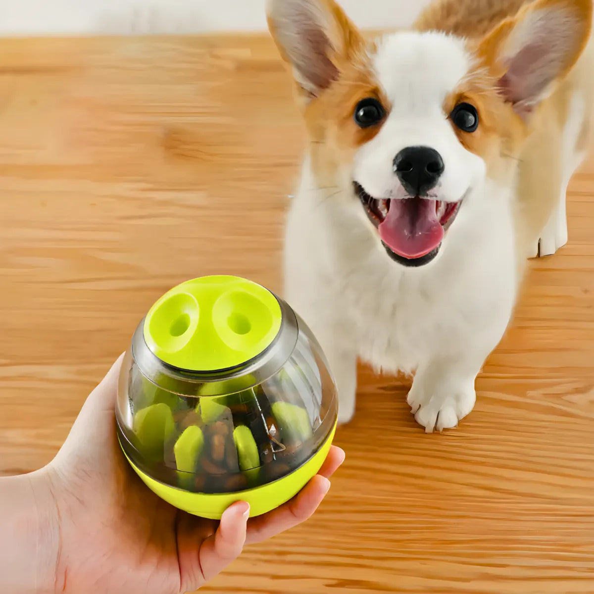 Brinquedo Interativo Para Cães com Dispenser para Petisco