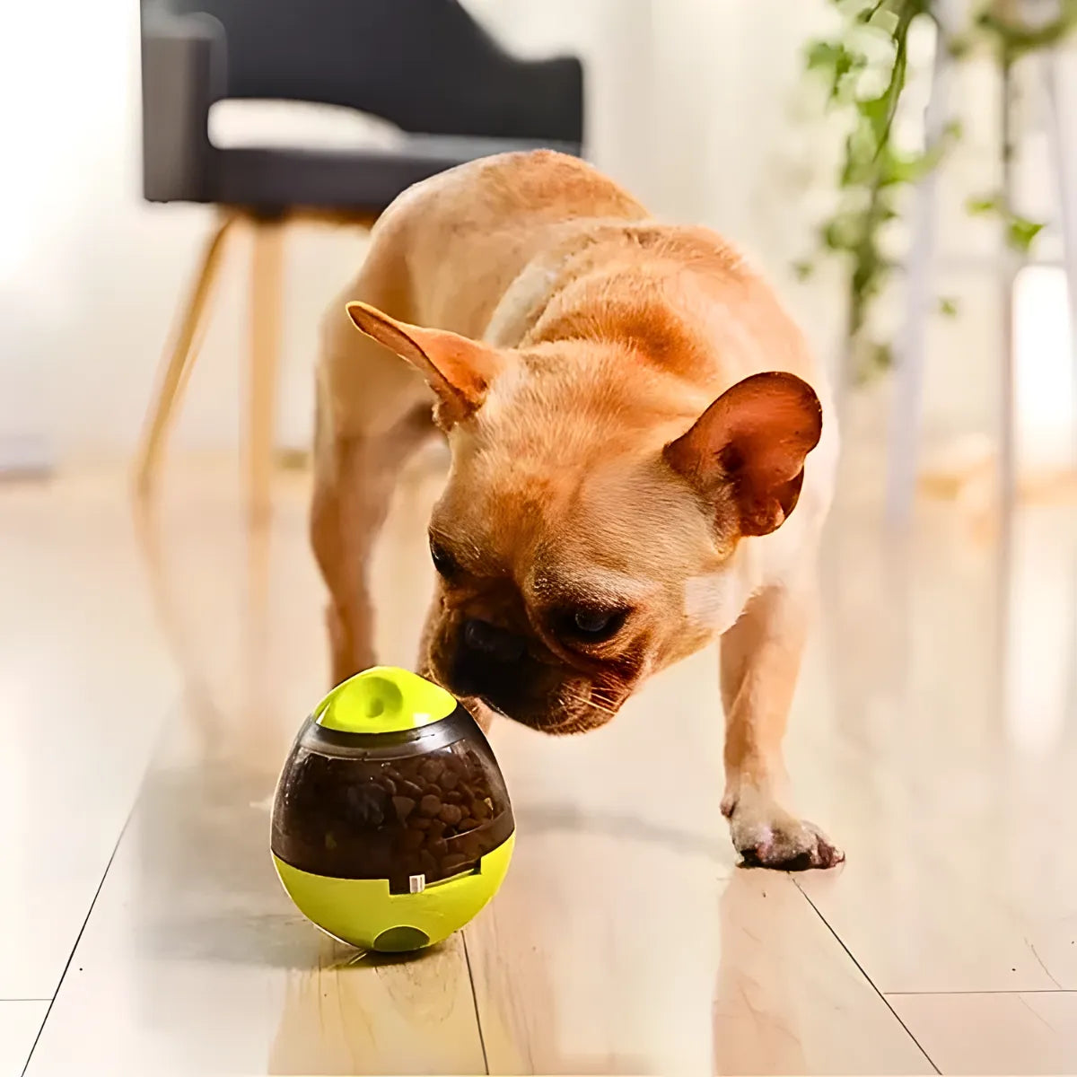 Brinquedo Interativo Para Cães com Dispenser para Petisco