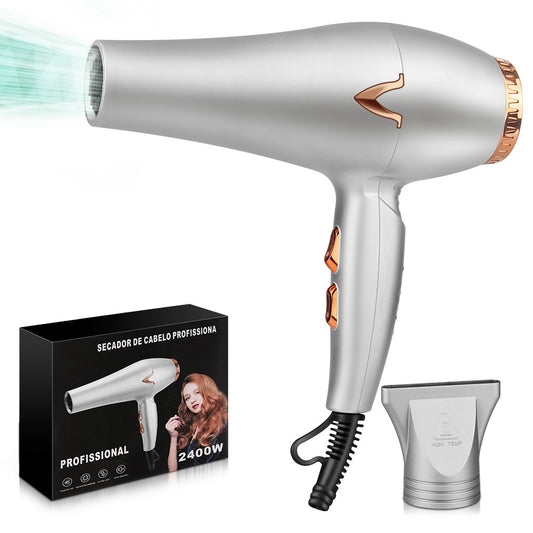Secador de cabelo profissional 2400W